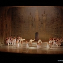 Coppelia