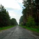 droga przez las - okolice Kołtowa